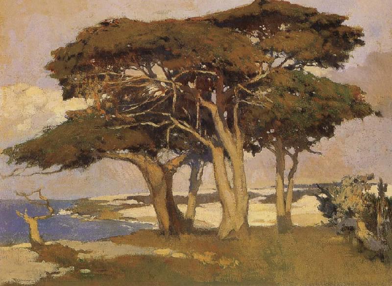 Arthur Mathews Monterey Cypress China oil painting art